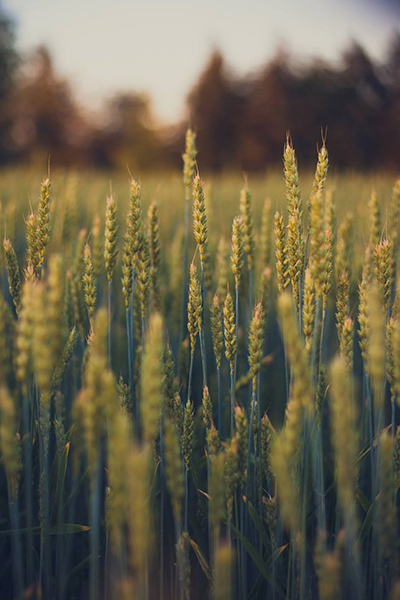 personal por Noelia Saiz